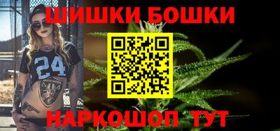 соль ск Славгород