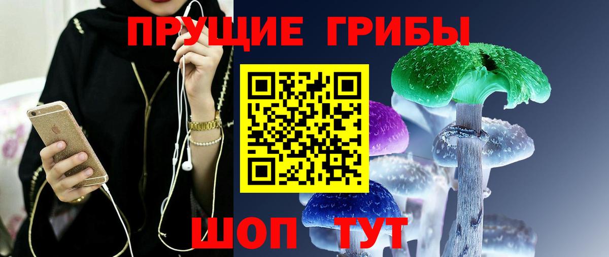 где купить наркоту  Галлюциногенные грибы Magic Shrooms  Вход с VPN  Ноябрьск 